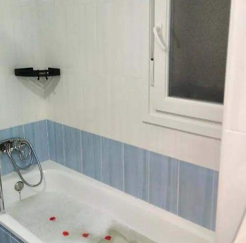 El Sitio De Mi Recreo En 베하르